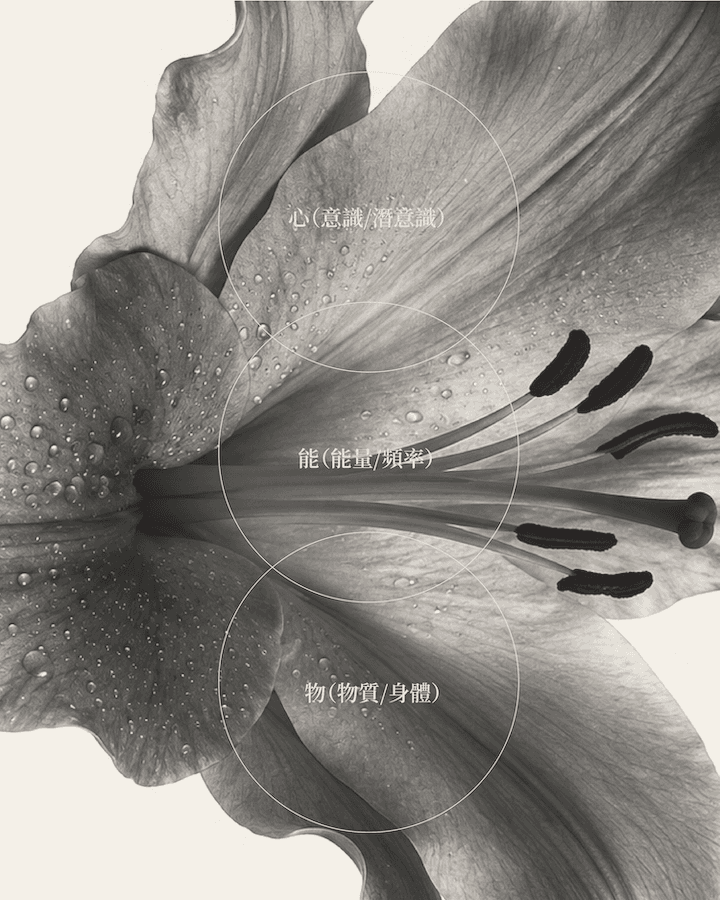 花晶是什麼?